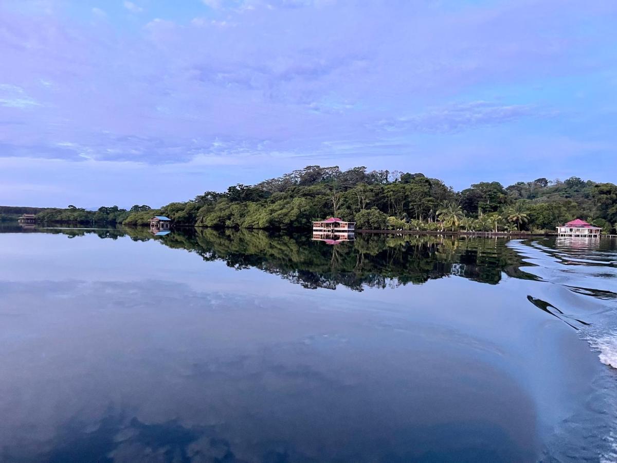Dolphin Blue Paradise Bocas del Toro Exterior foto