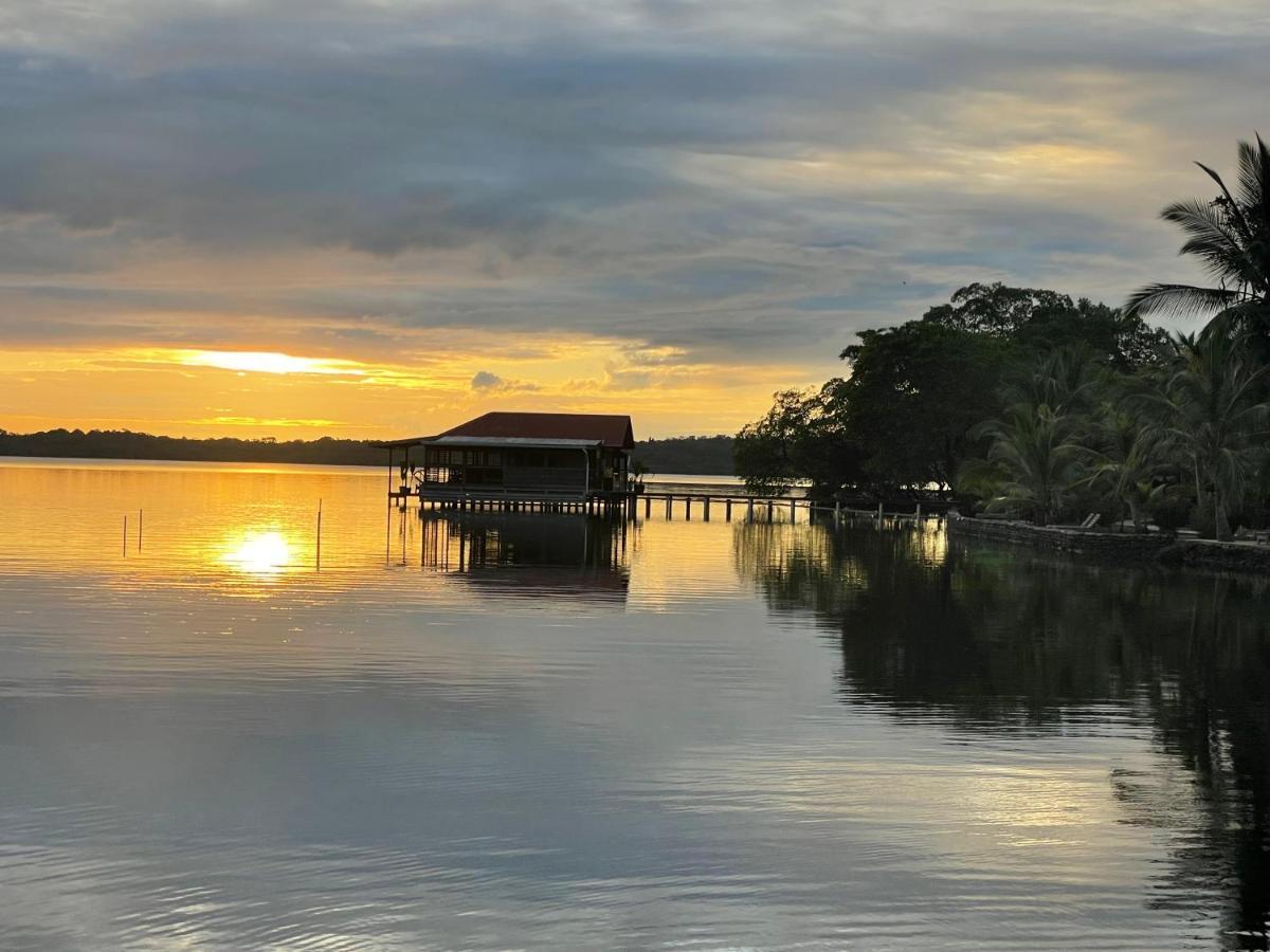 Dolphin Blue Paradise Bocas del Toro Exterior foto