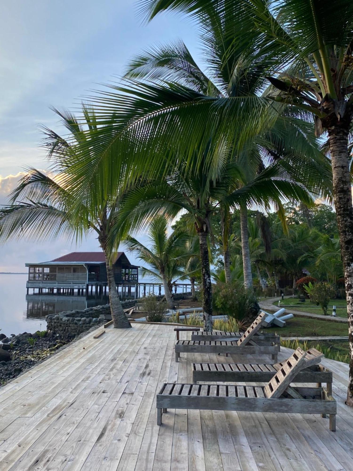 Dolphin Blue Paradise Bocas del Toro Exterior foto
