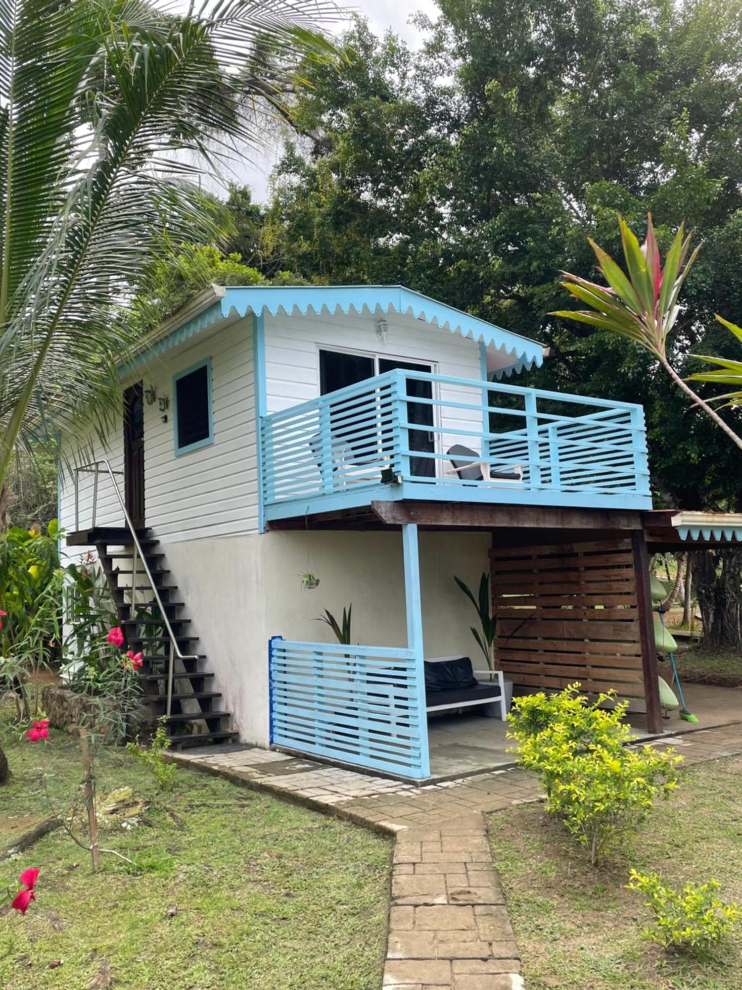Dolphin Blue Paradise Bocas del Toro Exterior foto