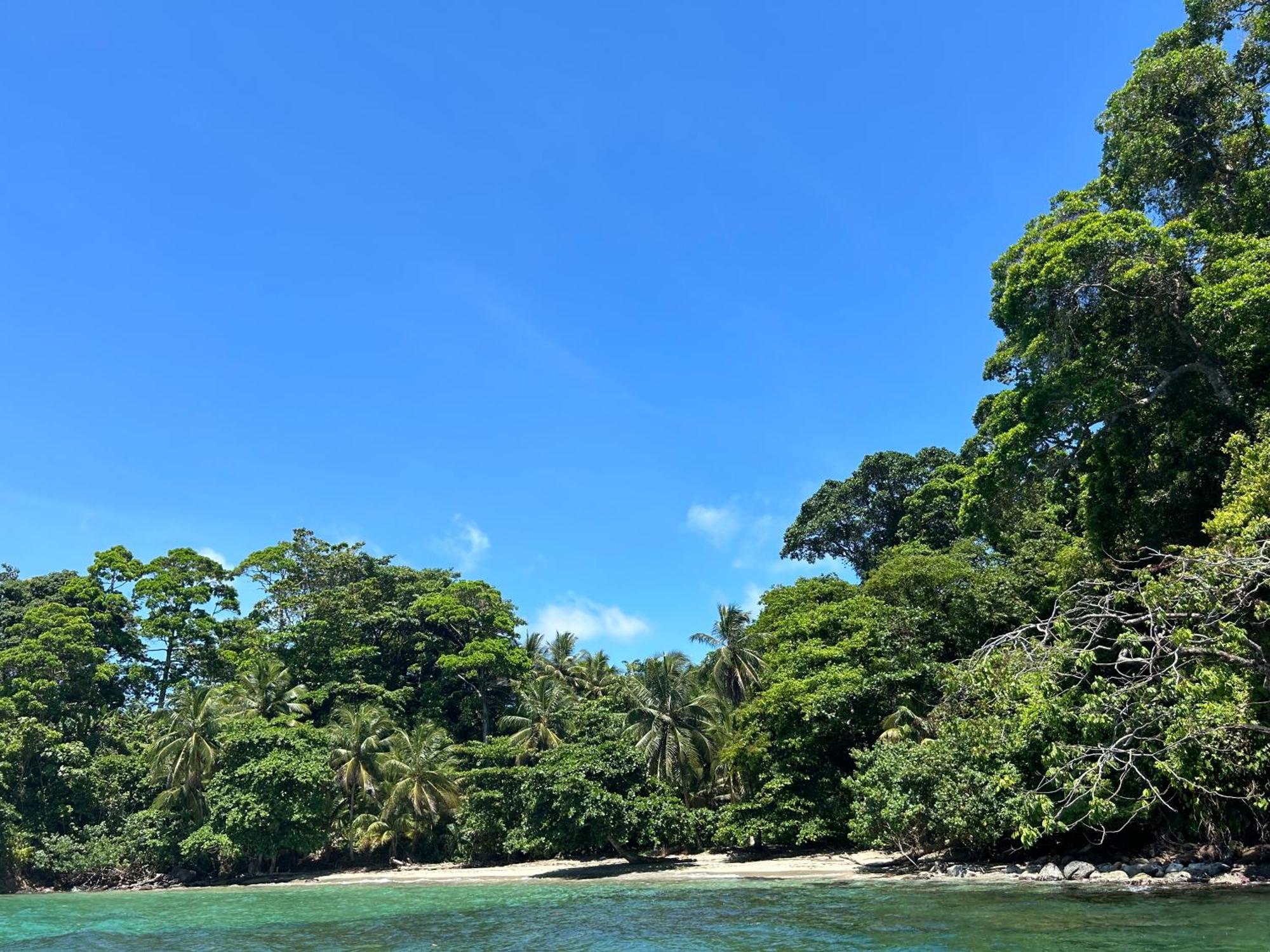 Dolphin Blue Paradise Bocas del Toro Exterior foto